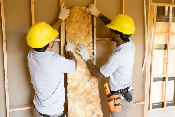 Best Garage Insulation Installation  in Eastlake, OH